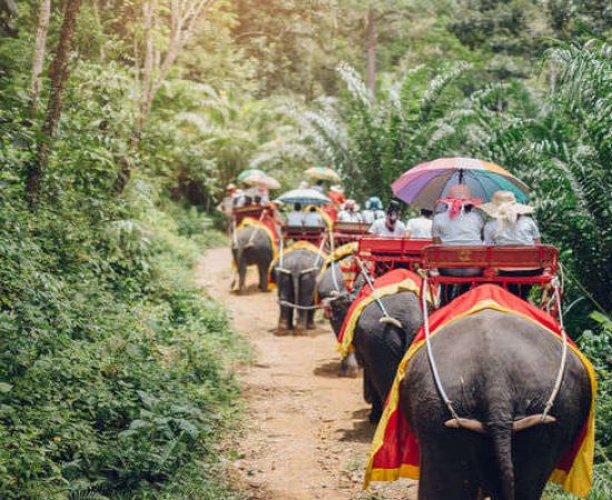 elephant-trekking-in-thailand
