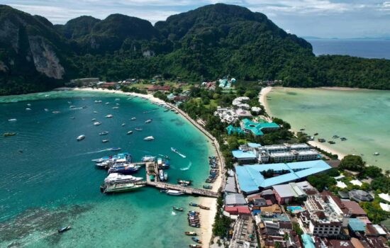 pexels-dan-voican-2624103-14573824 pexels-dan-voican-2624103-14573824